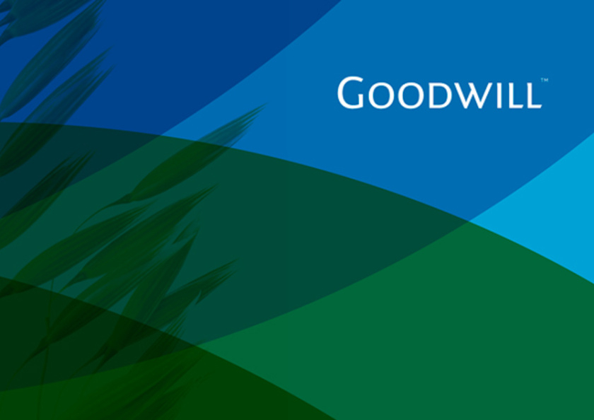 Goodwill 糧食面粉企業(yè)品牌logo設(shè)計(jì)與品牌形象識(shí)別設(shè)計(jì)，小鳥與花朵結(jié)合元素