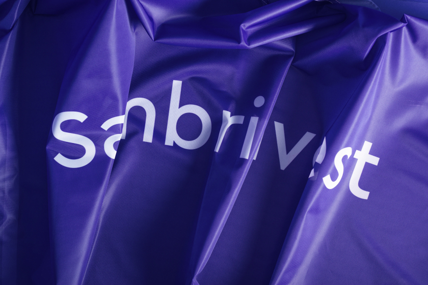 Sambrinvest 金融集團公司logo設計品牌形象vi設計，單色簡約而又藝術的風格