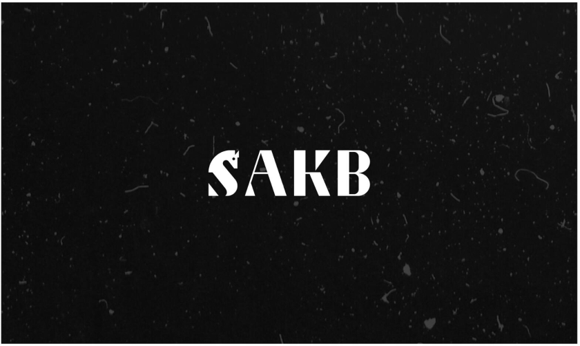 SAKB可再生能源建筑公司企業vi形象設計—S+國際象棋馬logo設計與棋盤輔助圖形設計