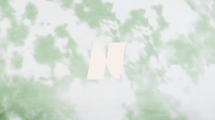 Nyord 服飾品牌識別設計-logo與vi設計,獨特的字母N設計及組合圖案