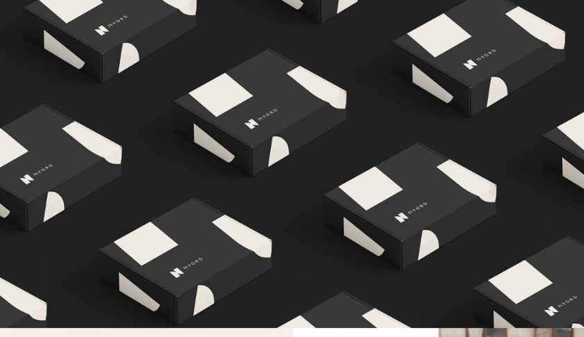 Nyord 服飾品牌識別設計-logo與vi設計,獨特的字母N設計及組合圖案