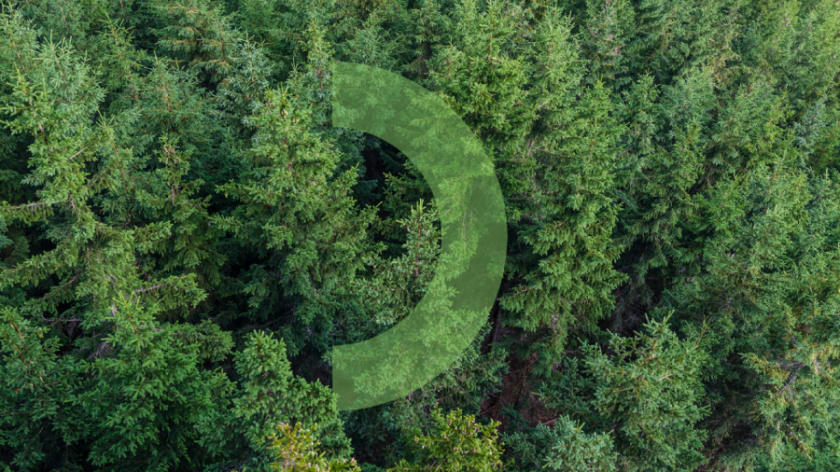 Mari El旅游品牌形象設計logo設計，一個清新放松的品牌形象