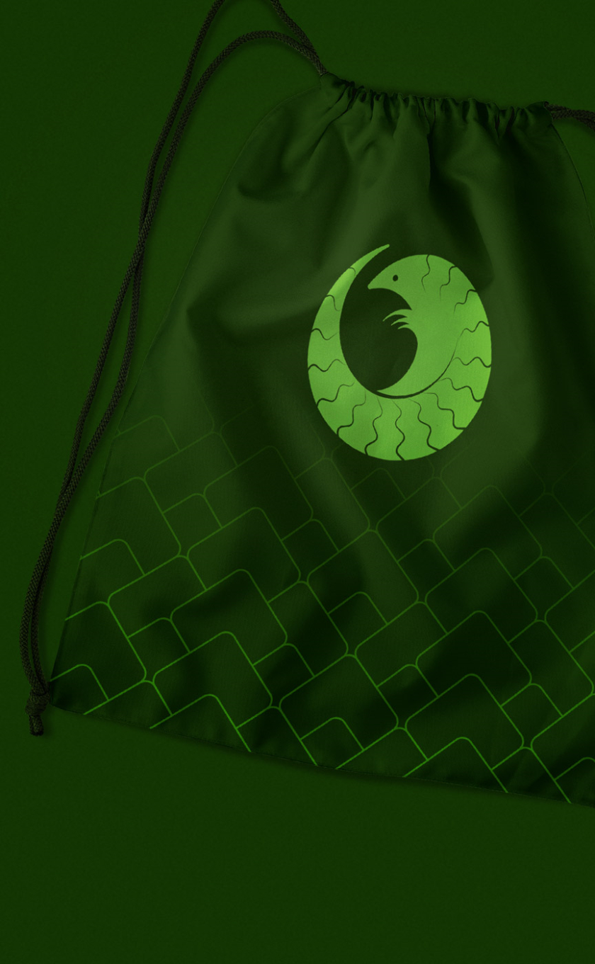 穿山甲危機基金logo設計vi設計輔助圖形設計