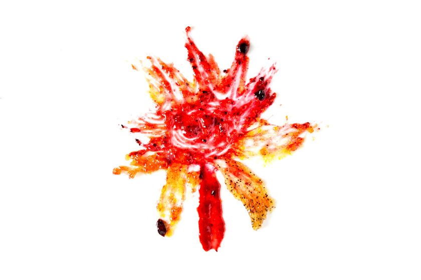 Jam and Jelly 果醬包裝設計“波普插圖風格”