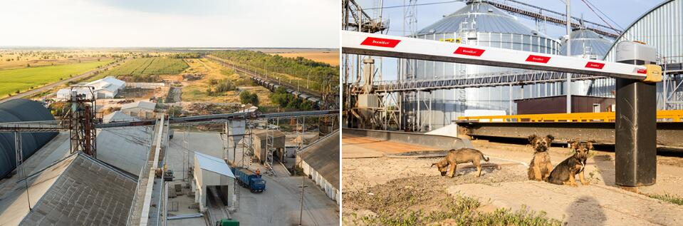 Zerno 農(nóng)業(yè)公司自傳書(shū)籍編輯畫(huà)冊(cè)設(shè)計(jì)