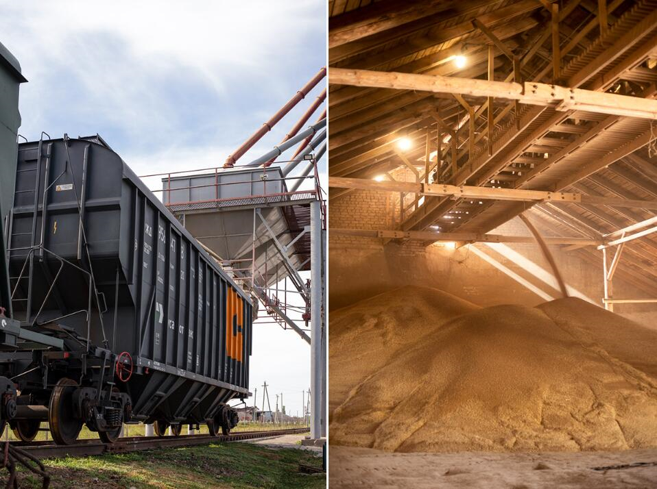 Zerno 農(nóng)業(yè)公司自傳書(shū)籍編輯畫(huà)冊(cè)設(shè)計(jì)