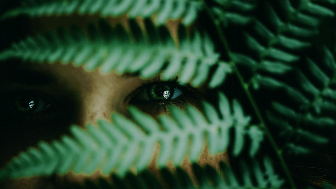 Leo Accioly 高質(zhì)量攝影公司品牌識(shí)別設(shè)計(jì)