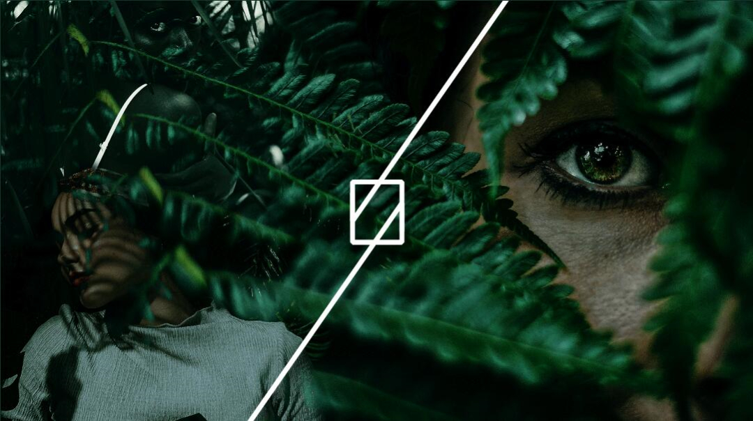 Leo Accioly 高質(zhì)量攝影公司品牌識(shí)別設(shè)計(jì)logo設(shè)計(jì)