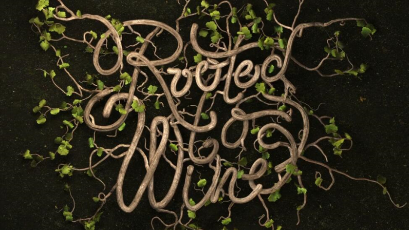 Roots 烏克蘭進口葡萄酒公司vi設計，梯田線條元素