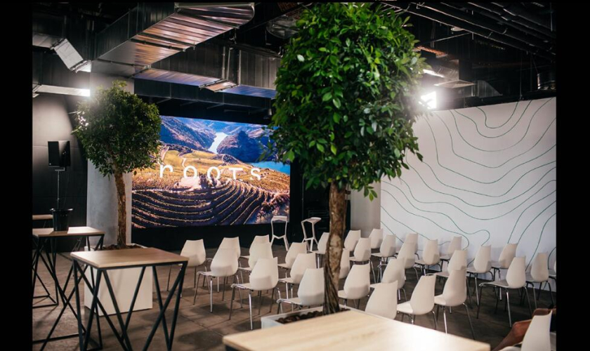 Roots 烏克蘭進口葡萄酒公司vi設計，梯田線條元素