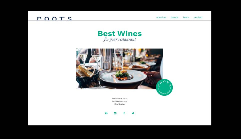 Roots 烏克蘭進口葡萄酒公司vi設計，梯田線條元素