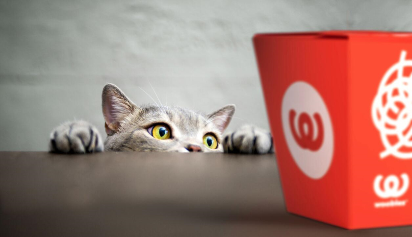 Woobles 明火炒鍋餐廳餐飲品牌創建與全案策劃設計-自拍愛好者的貼紙墻壁