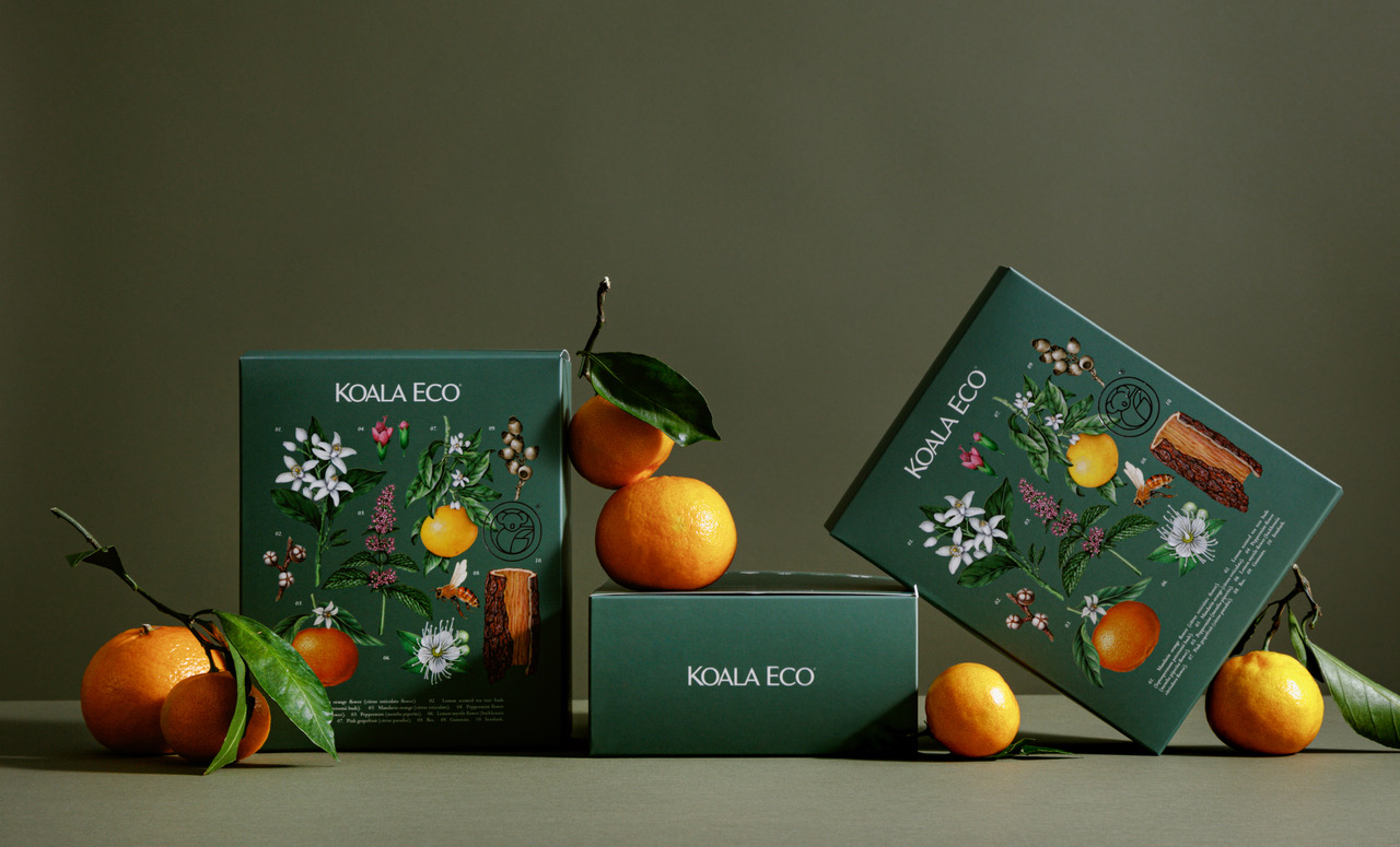 koala 植物精油綠色禮盒包裝設計，自然精致的植物花卉昆蟲插畫