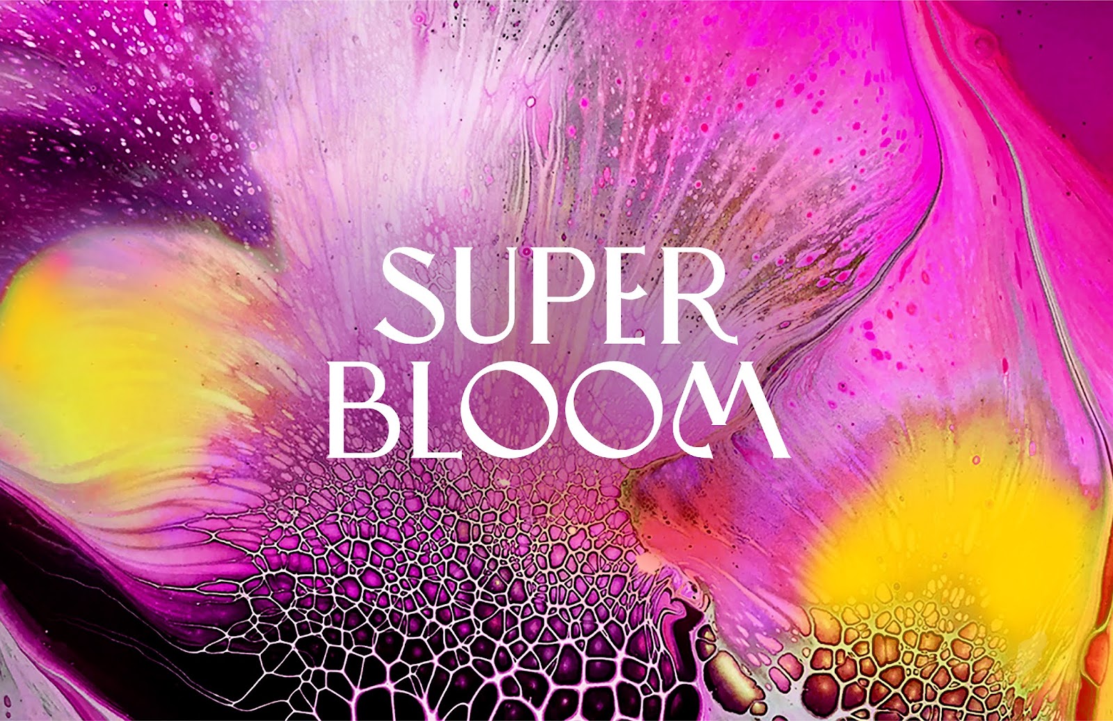 Superbloom 純植物素化妝品包裝設計，漸變水彩綻放女性美麗