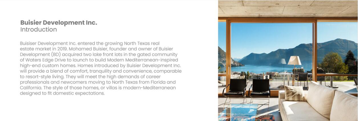 Buisier 別墅地產項目logo設計vi形象設計