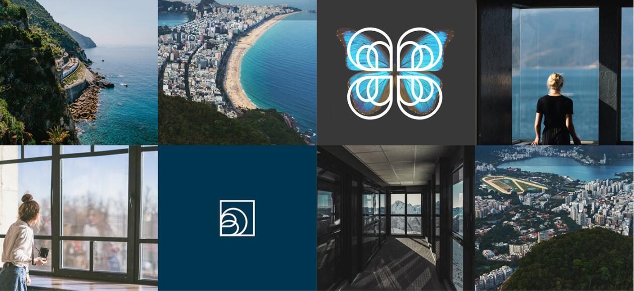 Buisier 別墅地產項目logo設計vi形象設計，B+D字母+方框