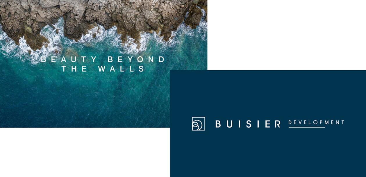 Buisier 別墅地產項目logo設計vi形象設計，B+D字母+方框