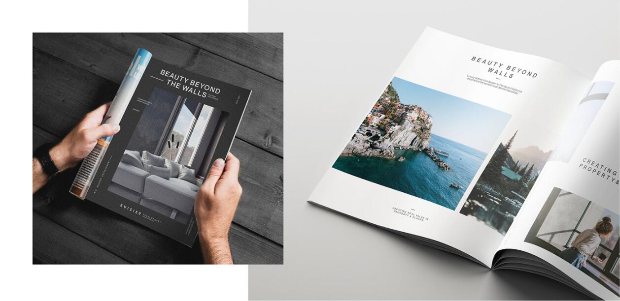 Buisier 別墅地產項目logo設計vi形象設計，B+D字母+方框