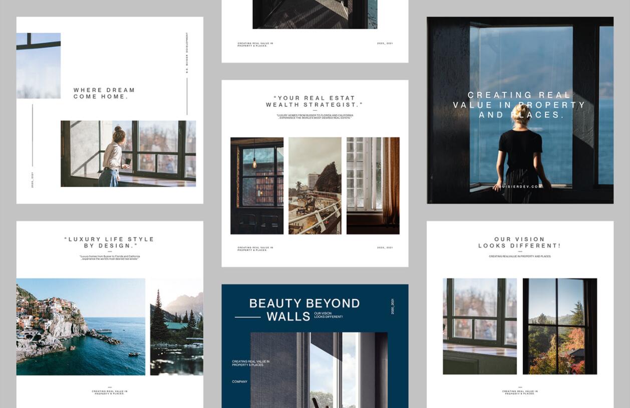 Buisier 別墅地產項目logo設計vi形象設計，B+D字母+方框