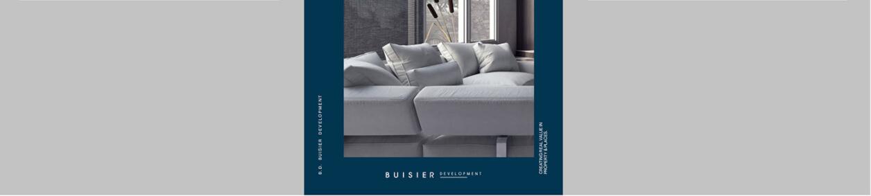 Buisier 別墅地產項目logo設計vi形象設計，B+D字母+方框