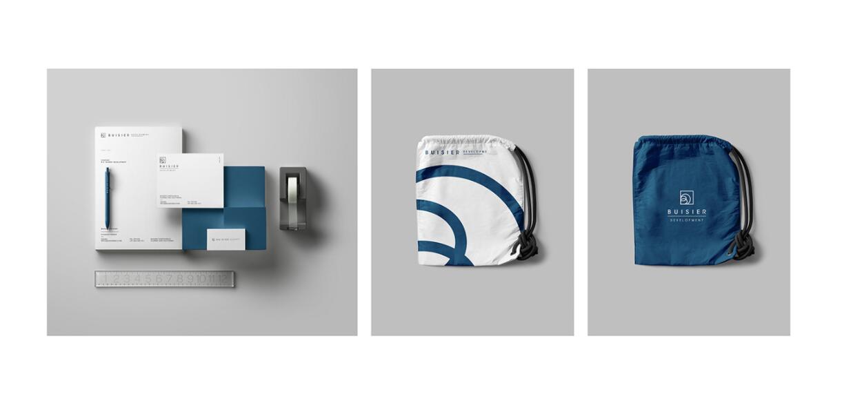 Buisier 別墅地產項目logo設計vi形象設計，B+D字母+方框