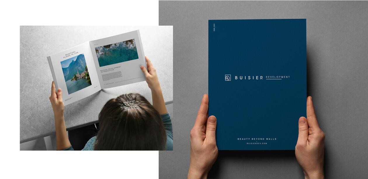 Buisier 別墅地產項目logo設計vi形象設計，B+D字母+方框