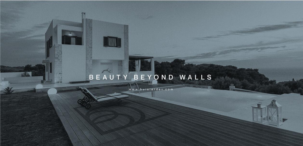 Buisier 別墅地產項目logo設計vi形象設計，B+D字母+方框