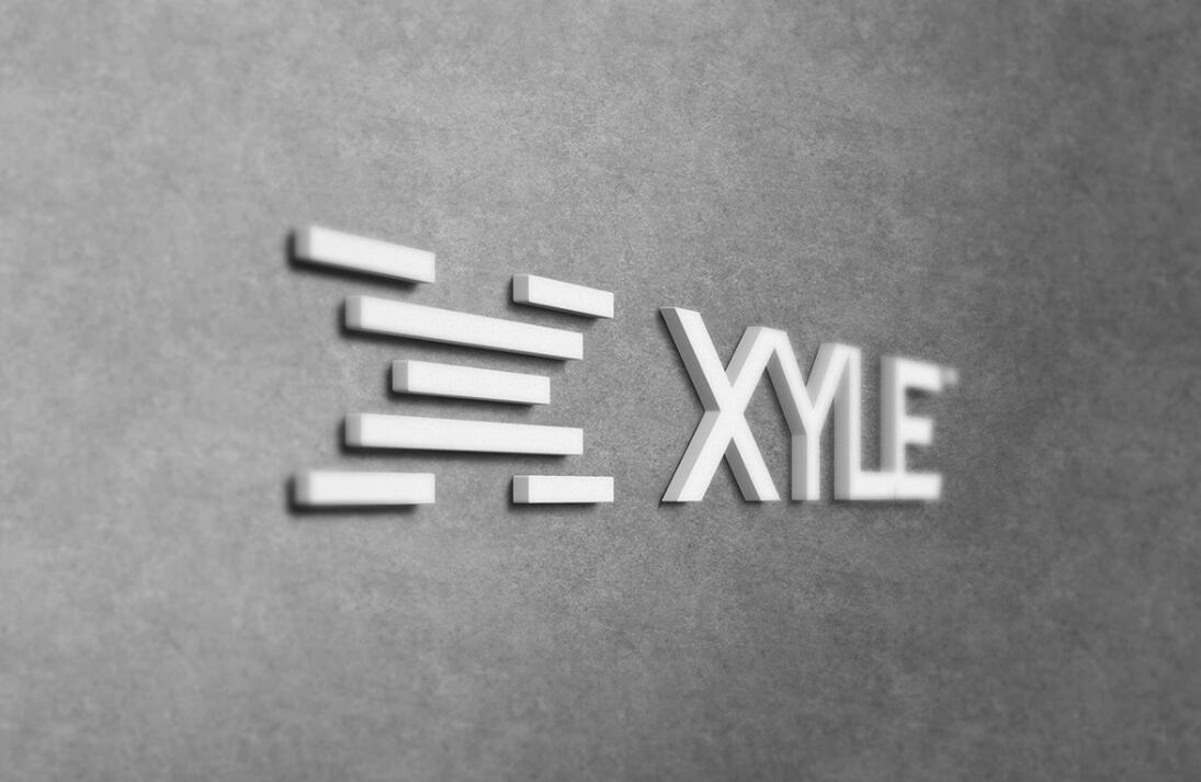 Xyle建筑設計公司logo設計品牌形象vis設計，表達信任累積的x磚塊logo