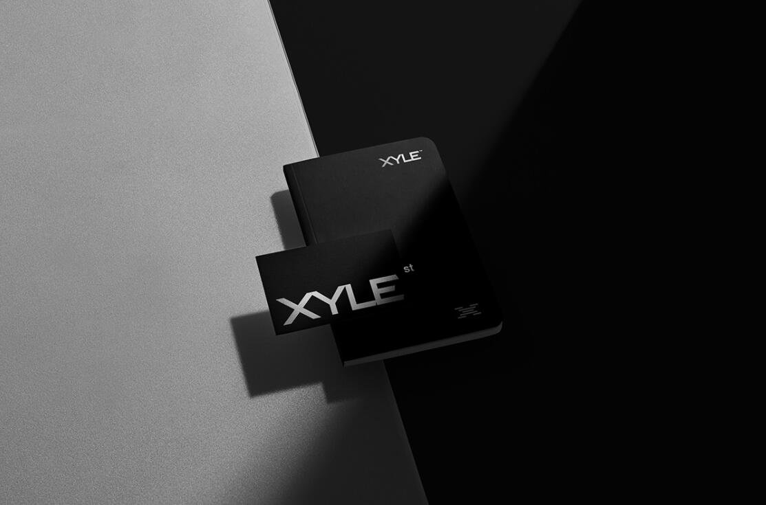Xyle建筑設計公司logo設計品牌形象vis設計，x磚塊logo與超酷黑白漸變vi風