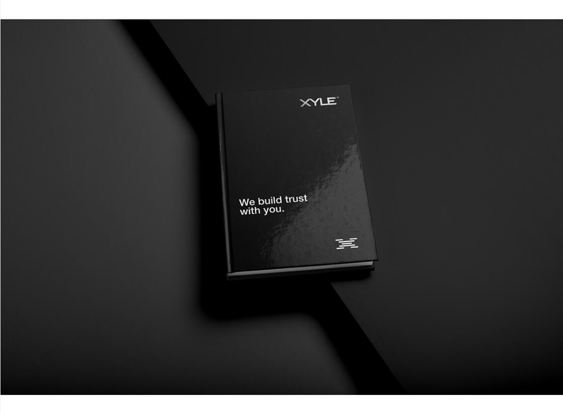 Xyle建筑設計公司logo設計品牌形象vis設計，x磚塊logo與超酷黑白漸變vi風