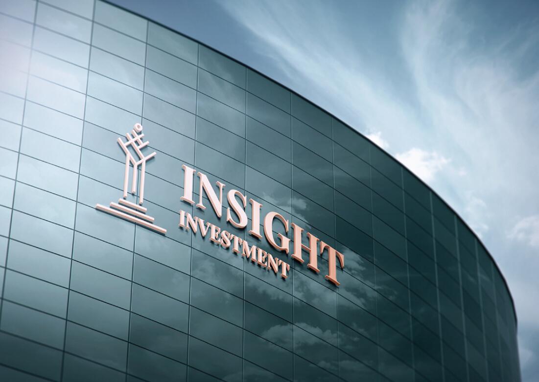 Insight 金融投資公司logo設(shè)計(jì)vis設(shè)計(jì)，基石與增長線條元素