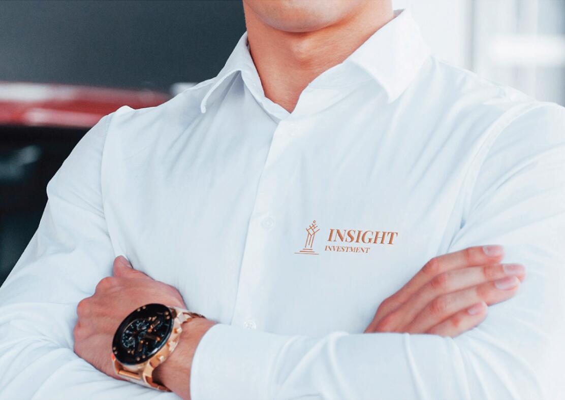 Insight 金融投資公司logo設(shè)計(jì)vis設(shè)計(jì)，基石與增長線條元素