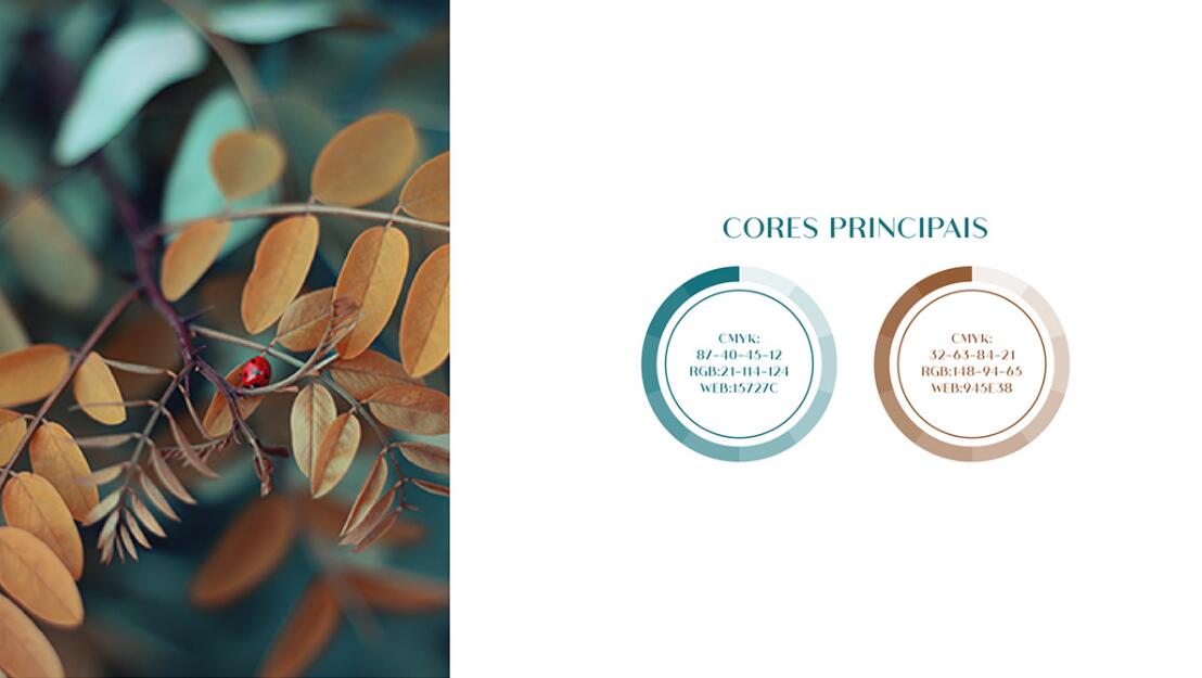 KAFRINA美容護膚產品品牌logo/vi設計，雙A字母+橢圓形品牌形象識別