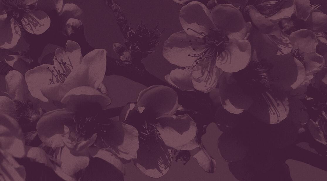 Espa?o Dermato 皮膚病醫療診所及醫美醫院logo設計vi設計，桃花元素