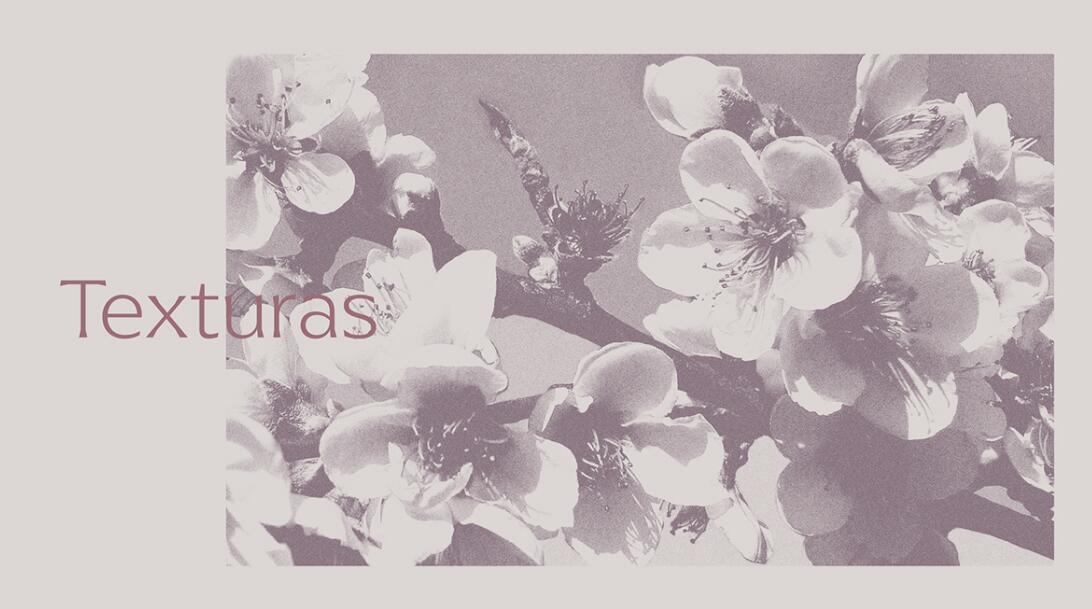 Espa?o Dermato 皮膚病醫療診所及醫美醫院logo設計vi設計，桃花元素