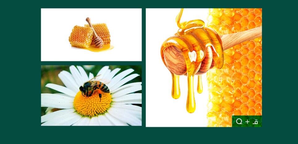 Qatfa 蜂蜜在線商店對稱Q字母logo設計