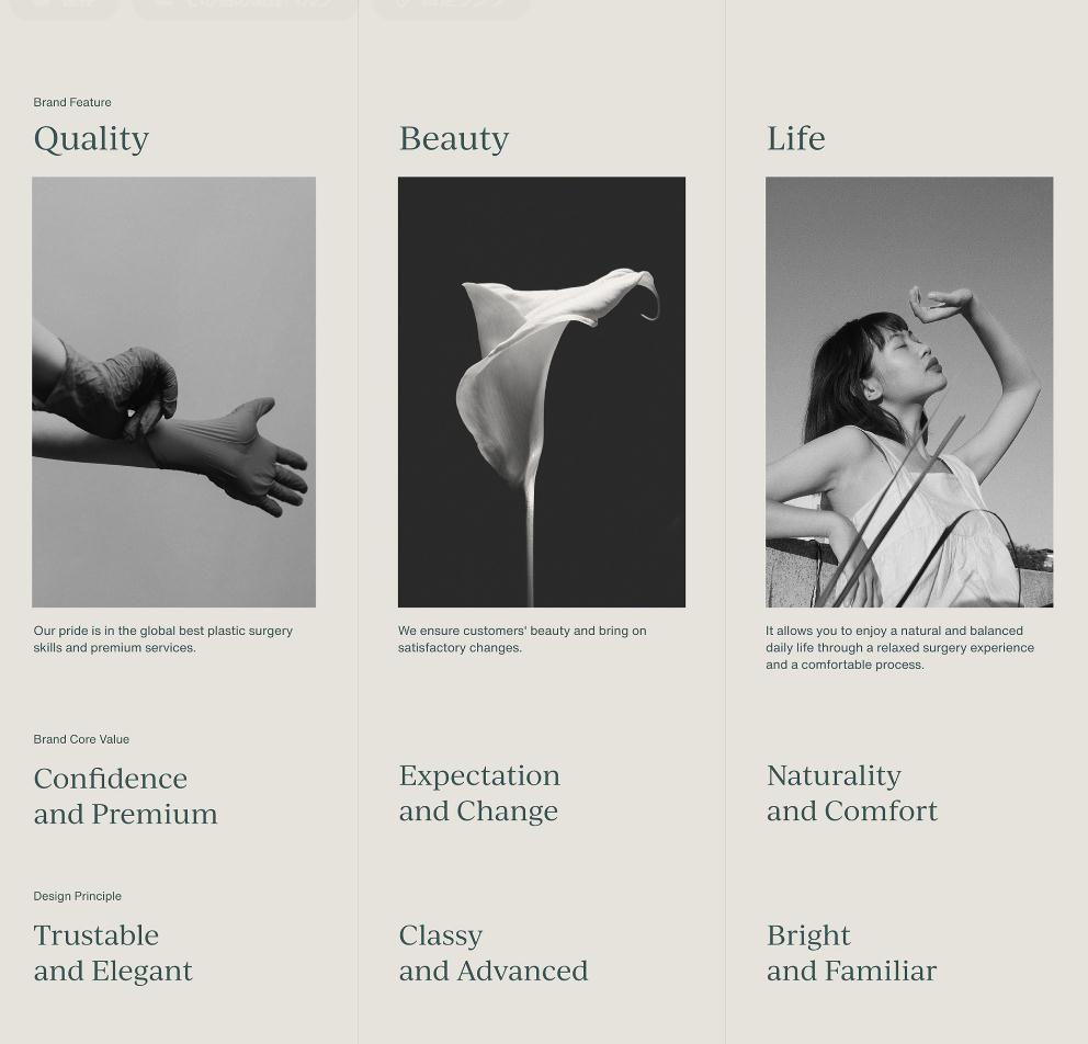 wonjin韓國醫療美容整形機構整套vi設計，低調暗綠色風格