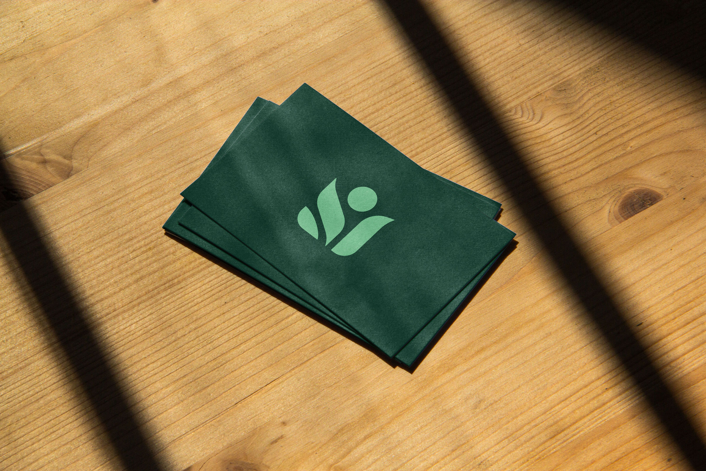 CNH全天然清潔公司logo設計“綠色花朵”元素