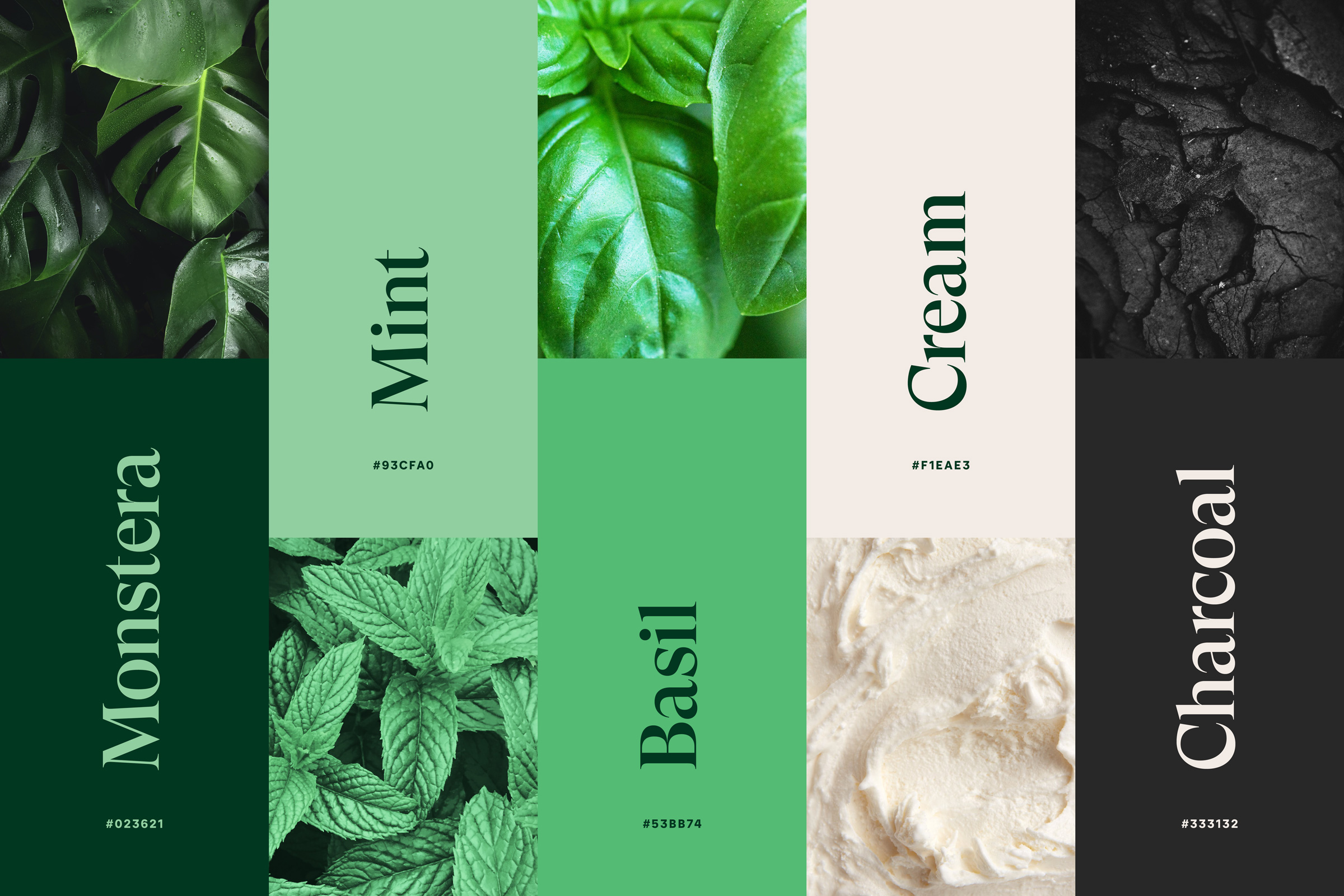 CNH全天然清潔公司logo設計“綠色花朵”元素