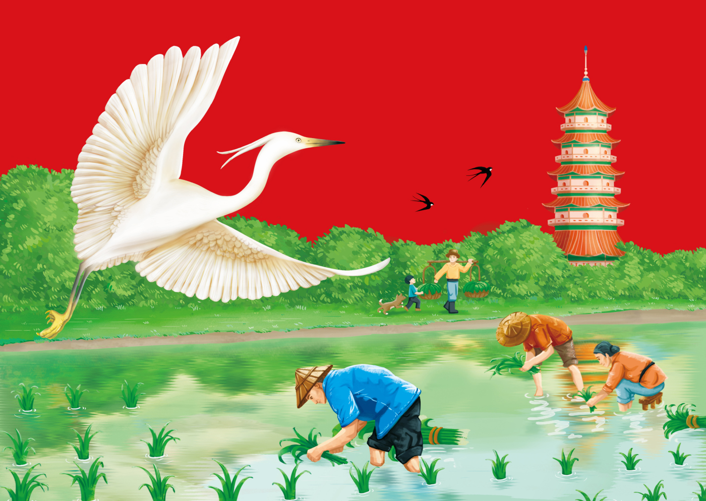 “有水有田”江蘇東臺大米品牌起名與包裝設計