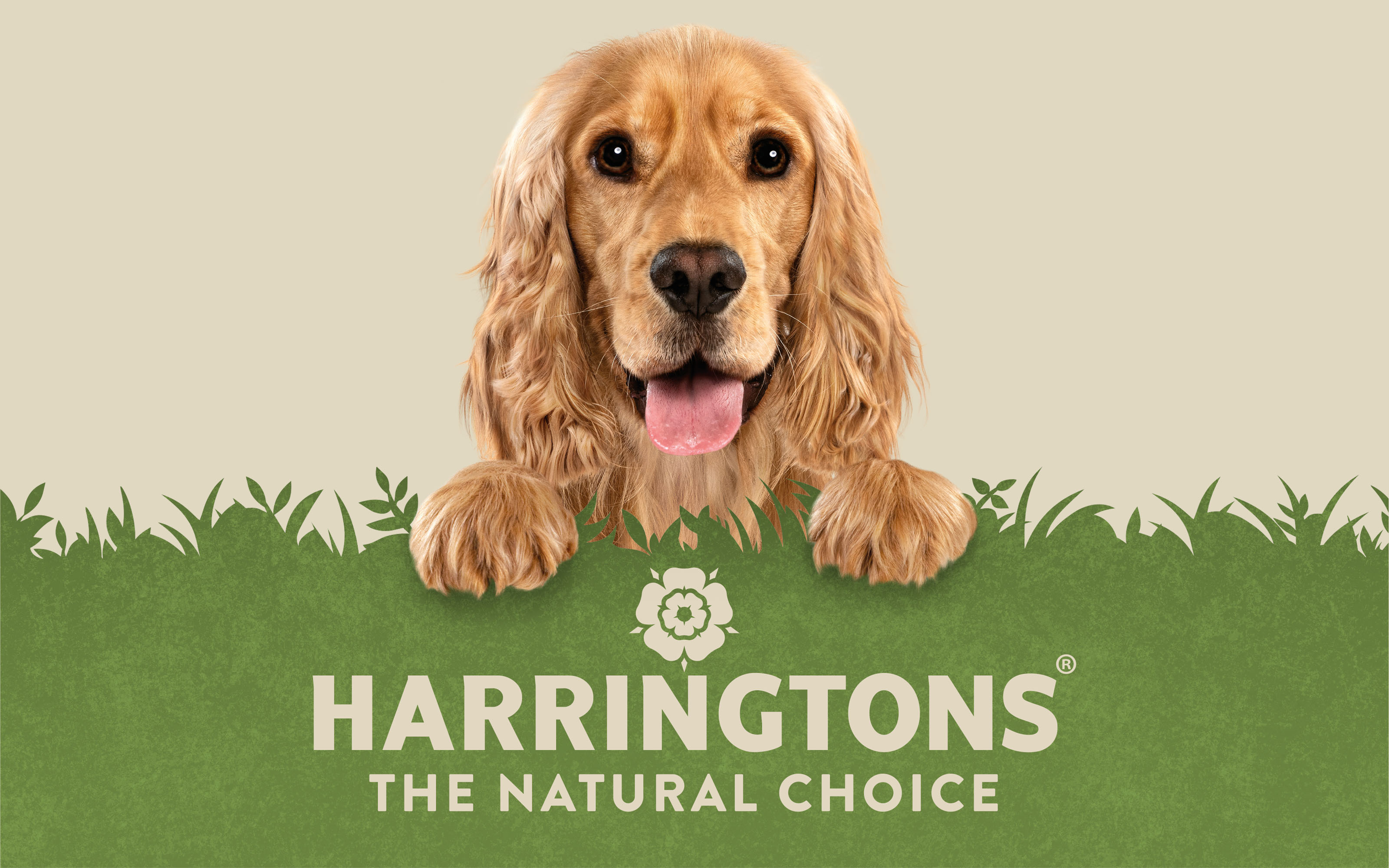 Harringtons哈靈頓貓糧狗糧寵物食品logo設計