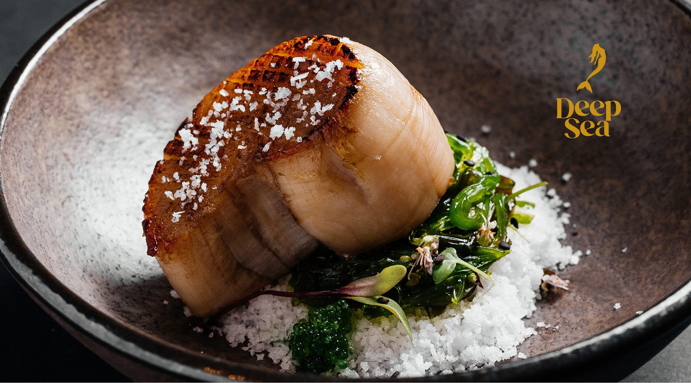 Deep Sea 海鹽美人魚logo設計與藍色波紋風格包裝設計-上海logo包裝設計公司