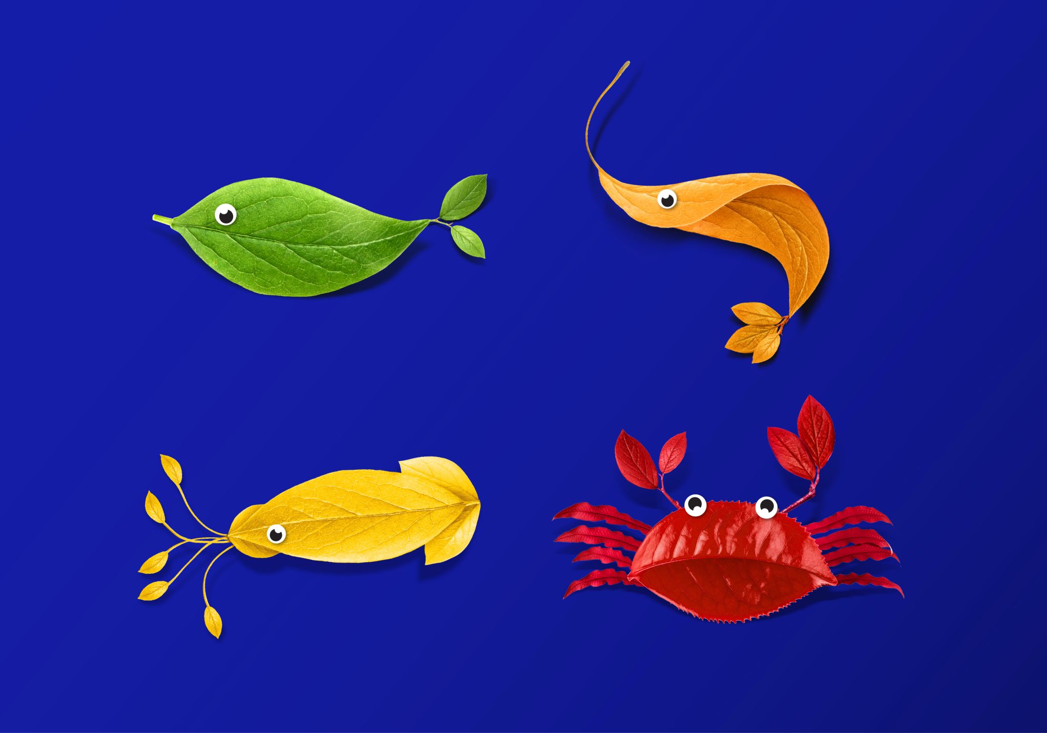 Mantra植物基素食海鮮食品包裝設計，藍色品牌識別+植物葉子海洋生物