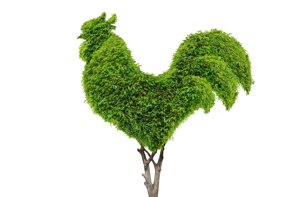 Greenwise 高植物蛋白素食肉食品包裝設計，植物建模動物圖案