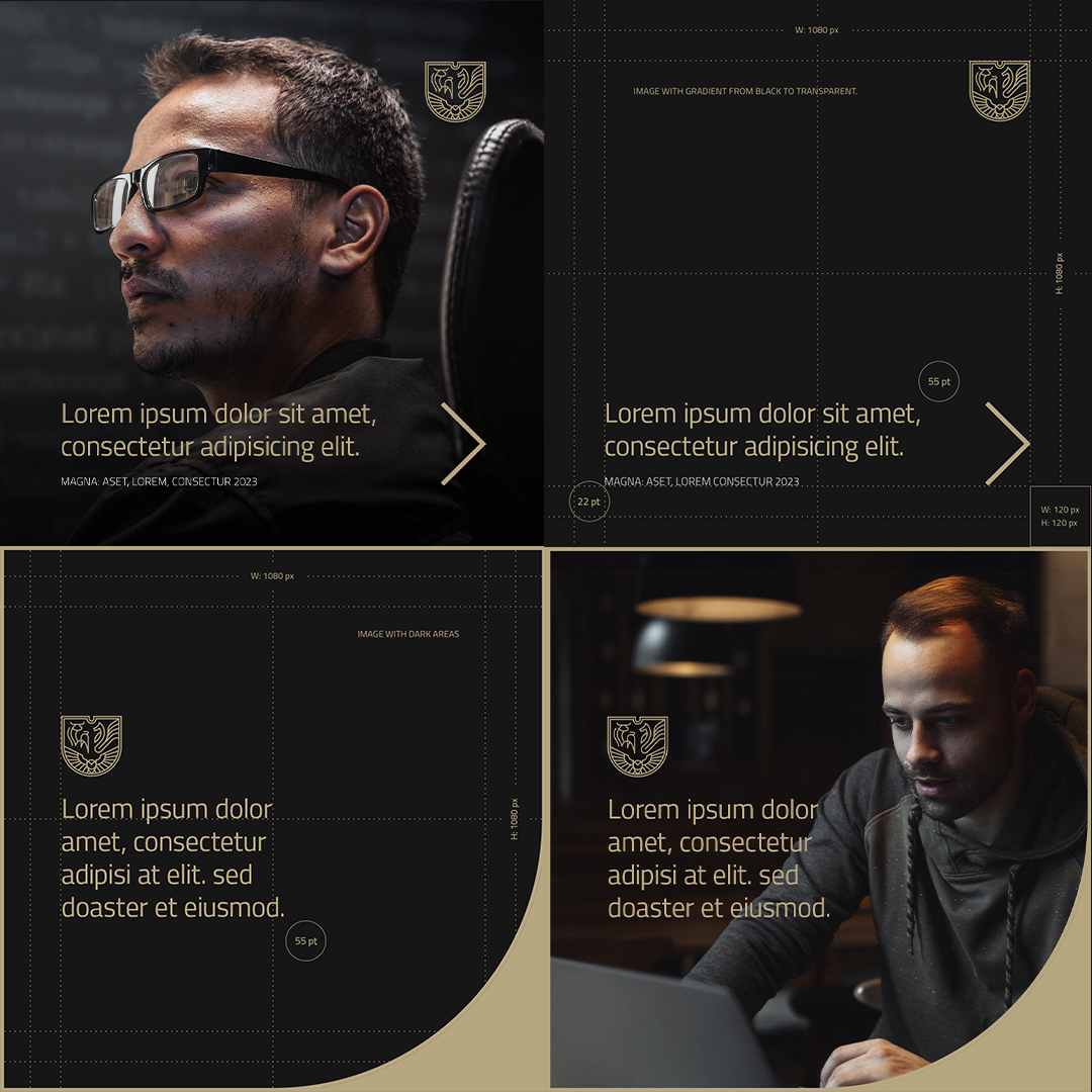 Masters高端企業在線商務培訓公司品牌vi視覺形象設計logo設計,盾牌徽章風格