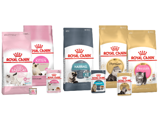 Royal Canin皇家犬業：針對每種醫療狀況的產品