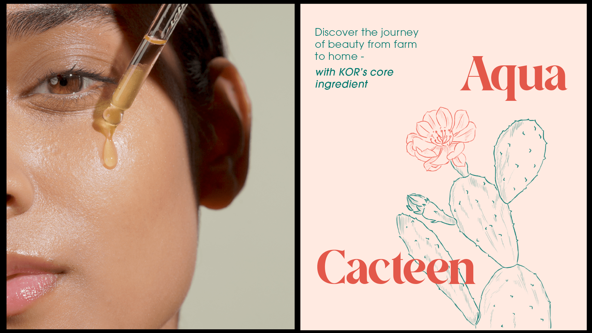 KOR皮膚補水革命性化妝護膚品護理品牌字體logo設計與藍綠色包裝設計