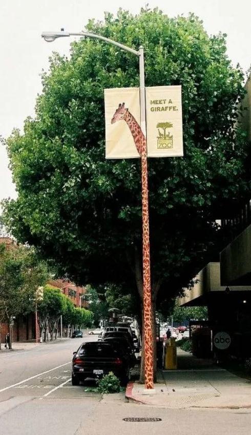 .圣地亞哥動物園戶外道旗廣告 .圣地亞哥動物園戶外道旗廣告