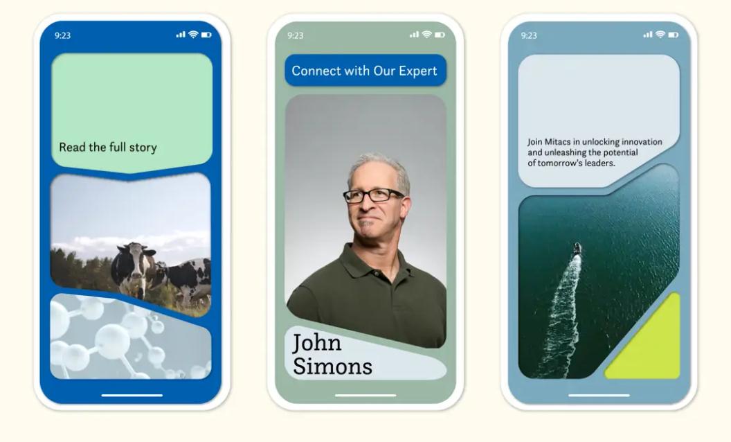 加拿大Mitacs企業創新孵化器投資公司新品牌視覺設計logo&vi設計
