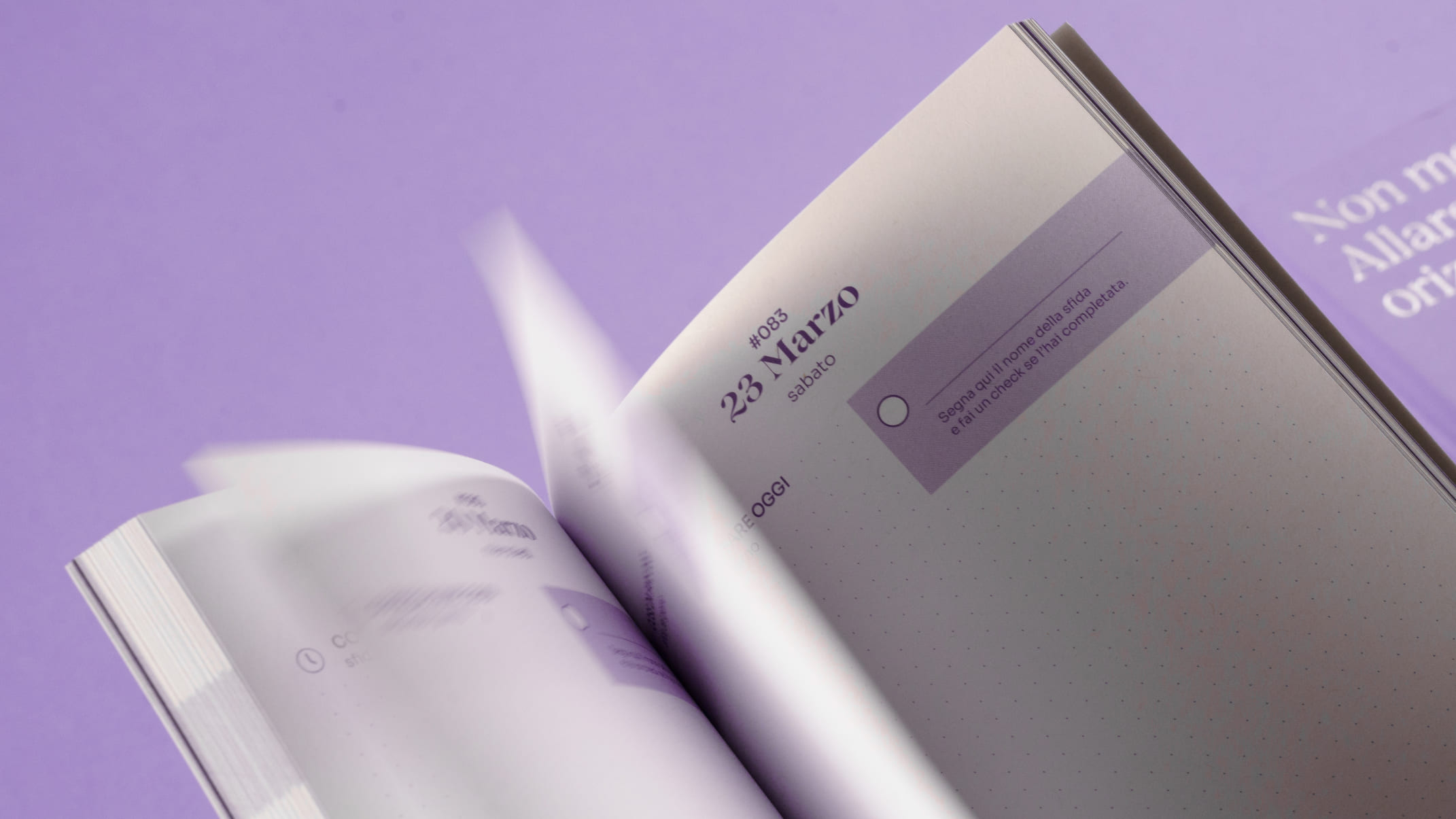 Efficacemente 教育課程套件禮盒包裝設計平面冊子設計，紫色幾何線條風格